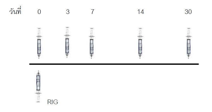 วิธีการฉีดวัคซีนโรคพิษสุนัขบ้า